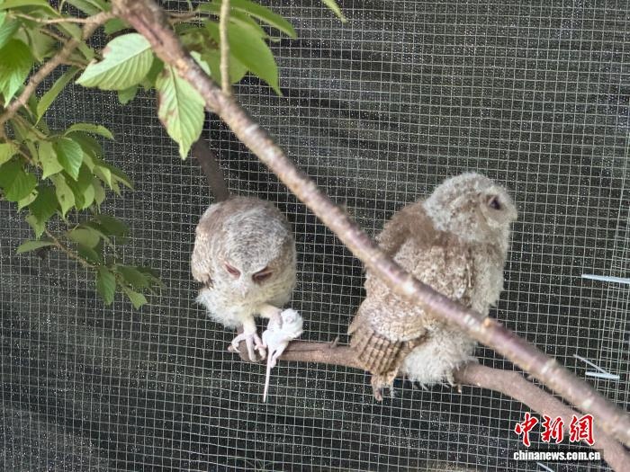 (01_副本.jpg