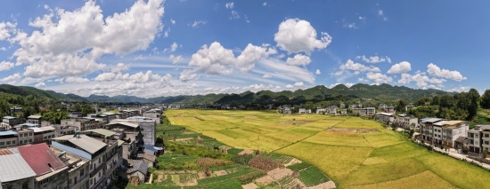 （001_副本.jpg