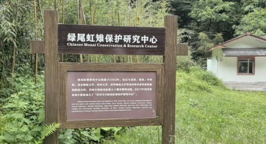 (22_副本.jpg