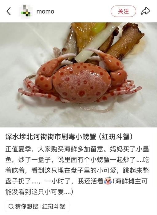 （55_副本.jpg