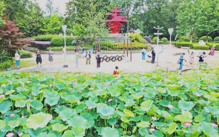 )001_副本.jpg