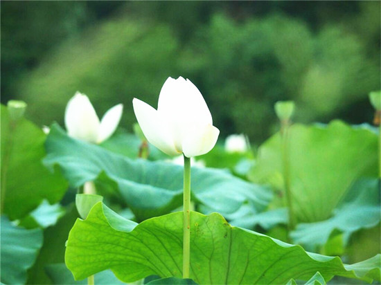 (002_副本.jpg