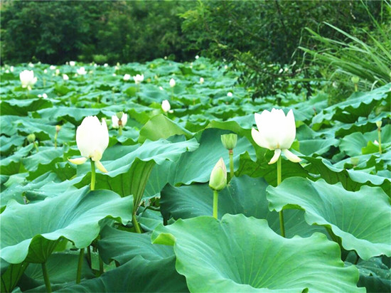 (003_副本.jpg