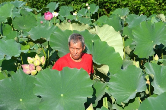 （33_副本.jpg